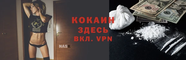 тгк Абаза