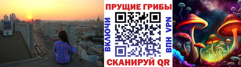 хочу   Гагарин  Псилоцибиновые грибы Psilocybine cubensis 