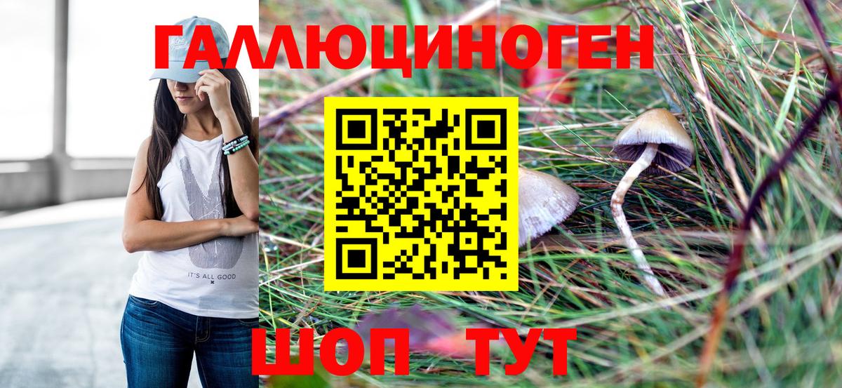 Псилоцибиновые грибы MAGIC MUSHROOMS  Галлюциногенные грибы MAGIC MUSHROOMS  Вход с VPN  Гагарин 