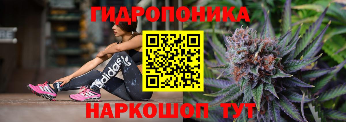 Бошки марихуана Amnesia Гагарин